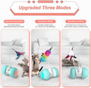 Electronic Kitten Toys