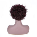 Brazilian Curly Wig Lace Wigs