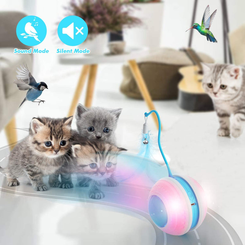 Interactive Cat Ball Toys with Bird Sound