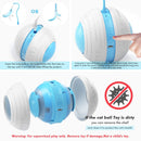 Interactive Cat Ball Toys with Bird Sound