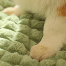 Removable Washable Pet Bed