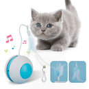 Interactive Cat Ball Toys with Bird Sound