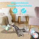 Interactive Cat Ball Toys with Bird Sound
