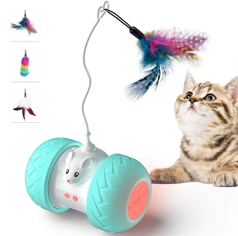 Electronic Kitten Toys