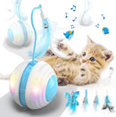 Interactive Cat Ball Toys with Bird Sound
