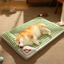 Removable Washable Pet Bed