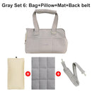 Handbag Pet  Carrier