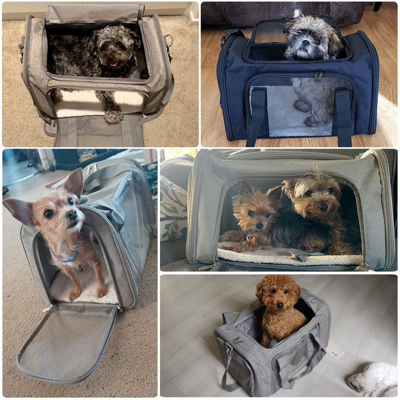 Pet Travel Bags