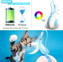 Interactive Cat Ball Toys with Bird Sound